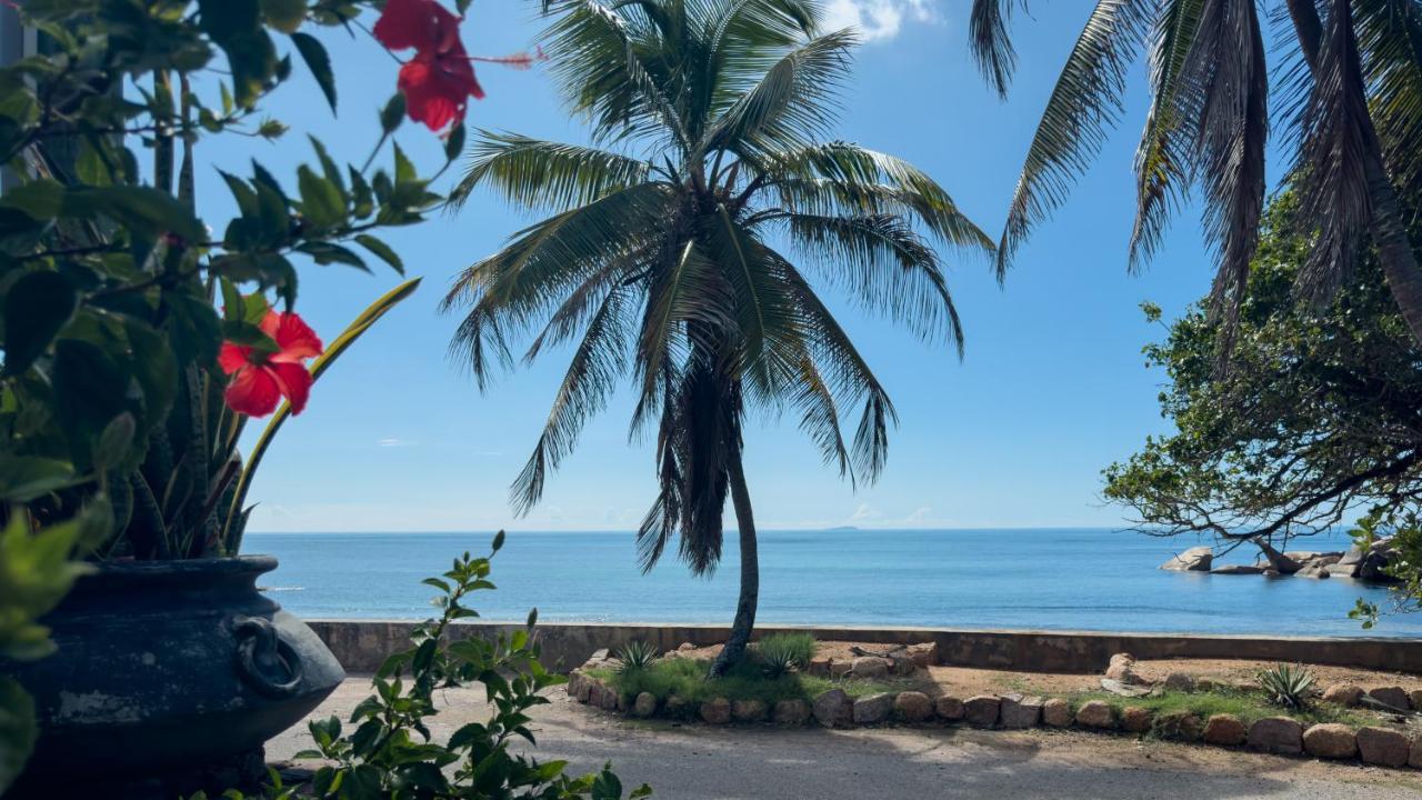 La Petite Maison And Sea Splash Hotel Baie Sainte Anne Kültér fotó